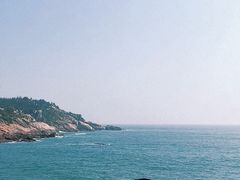 -广东惠东海龟国家级自然保护区