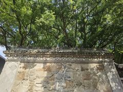 -上海醉白池公园