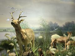 -湖南省地质博物馆