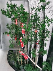 -简影造型·自选烫染接发salon