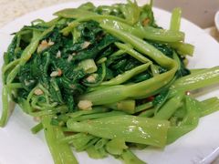 生炒菜心-禄源公·老莞诚饭店