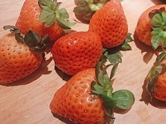 -牛New寿喜烧(新六百店)