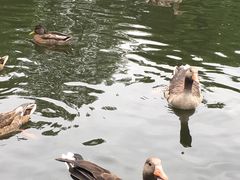 -维格兰雕塑公园