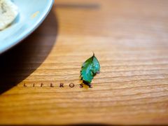 -素咫咖啡CLIFEROSE