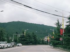 -黄帝陵