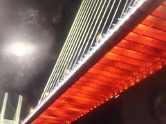 -新龙船黄浦江餐饮游船官方自营店