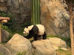 -香港海洋公园