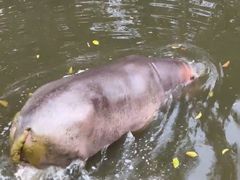 -泉州海丝野生动物世界