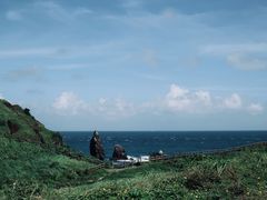 -涉地可支
