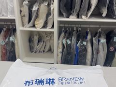 -布瑞琳洗衣(望京万象汇店)