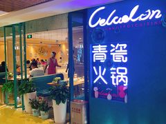 -青瓷火锅料理(西单大悦城店)