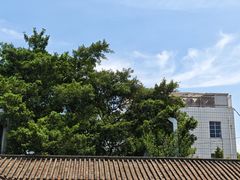 -长洲岛