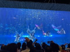 -华夏文旅海洋公园