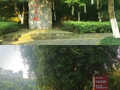 -龙头寺公园