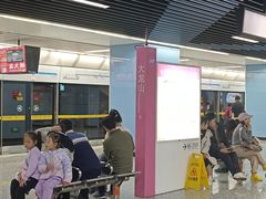 -大龙山(地铁站)