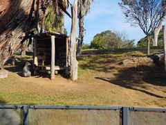 -威勒比开放式动物园