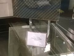 巧克力手包-东海朗廷酒店-唐阁T’ANG COURT 中餐厅