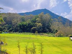 -黄埔油麻山森林公园