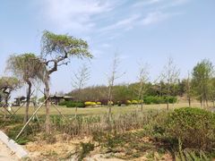 -辽宁团山国家级海洋公园