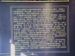 -九龙壁