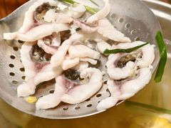 -鱼醉无骨鱼·中山脆肉鲩(南浦店)