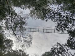 -藏龙百瀑风景区