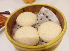 -万荣烤鸭店·北京菜(农光里店)