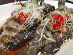 -大锅强·蒸海鲜青岛菜(吾悦广场店)