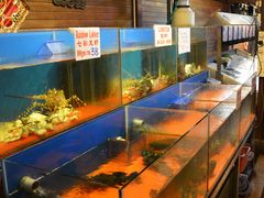-真浪花园海鲜餐馆