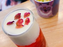 -飞行喵MR PILOT|猫舍·猫咖(静安大融城店)