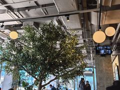 -Wagas沃歌斯(环贸店)