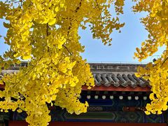 -北京国子监胡同