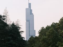 -紫峰大厦