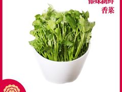 香菜-傣妹火锅(四川北路店)