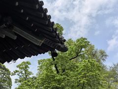 -潭柘寺景区