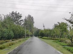 -昆山城市生态森林公园