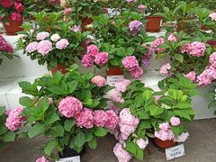 -共青国家森林公园-售票处