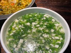 -陈麻婆豆腐(旗舰店)