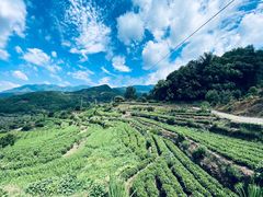 -杨家堂村