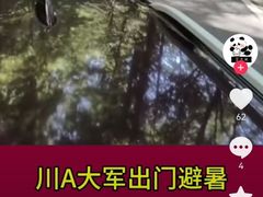 -约翰·菲茨杰拉德·肯尼迪国际机场