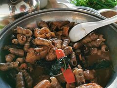 紫苏南乳海螺猪手煲-东馆和天下特色餐饮(工农店)
