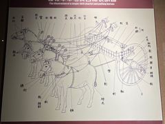 -洛阳周王城天子驾六博物馆