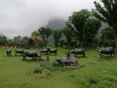 景点-娄山关景区