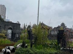 -四川大学(华西校区)