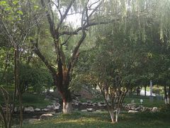 -孝子祠公园