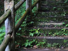 -龙苍沟森林公园