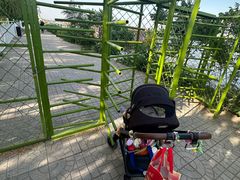 -白洋淀景区