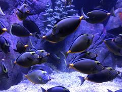 -成都浩海立方海洋公园