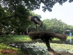 -广州长隆飞鸟乐园