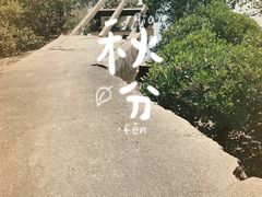 -北海金海湾红树林生态旅游区